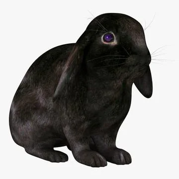 Rabbit Black 3D Model