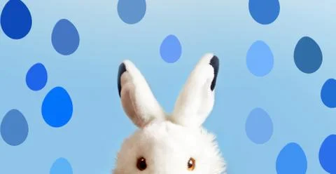 Rabbit on blue background.. Easter concept. Stock Photos