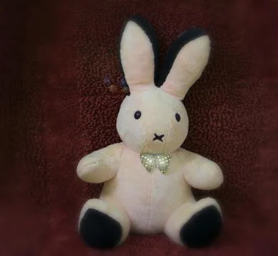 Rabbit with bow tie Foto stock