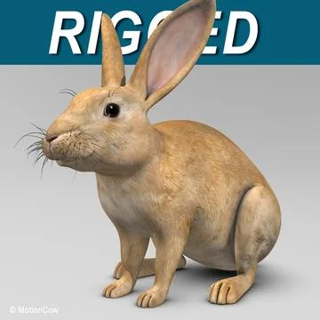 Rabbit  Brown 3D Model