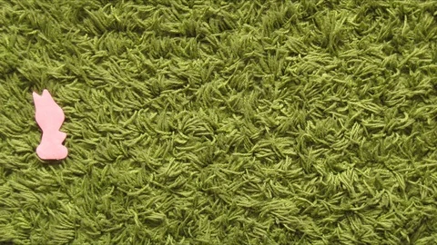 Rabbit bunny or hare count learning stop motion Stock Footage 108083447