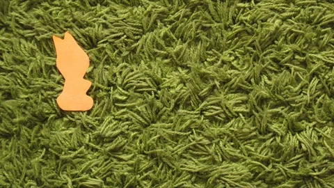 Rabbit bunny or hare count learning stop motion Stock Footage 108084161