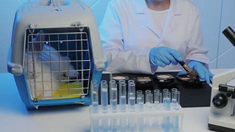 Rabbit in cage near scientist testing cosmetics in lab Stock Footage 317239642