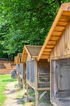  rabbit cage Stock Photos