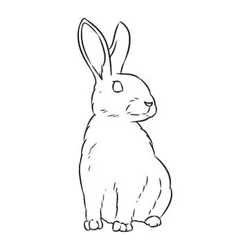 Rabbit cute doodle hand drawn lineart sketch Stock Illustration