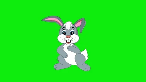 Rabbit Dance animation Video stock 325194960