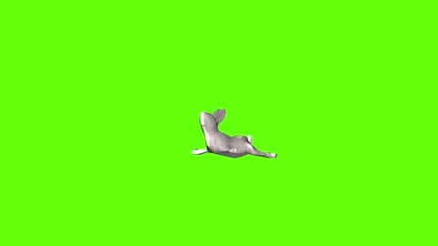 Rabbit death green screen animation 3D rendering Stock Footage 297690440