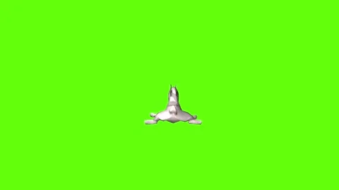 Rabbit death green screen animation 3D rendering Stock Footage 297690524