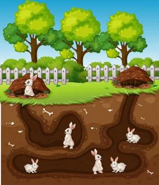 Rabbit digging the hole Stock Illustration