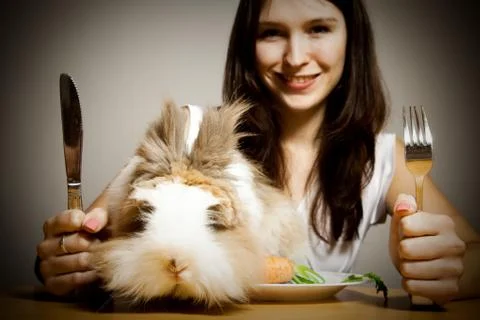 Rabbit For Dinner 스톡 사진
