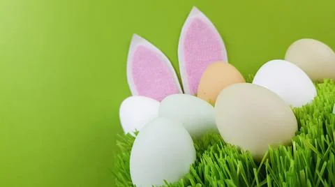 Rabbit ears and multicolored eggs of natural color on green real grass on a b Stock Photos