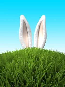 Rabbit ears in the grass Stock Illustration