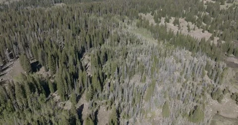 Rabbit Ears Pass Rocky Mountains Colorado US highway 40 Drone Aerial View Stock Footage 221106718