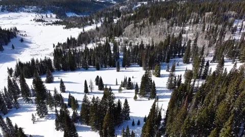 Rabbit Ears Pass Winter Back Country 01 | Steamboat Springs Colorado | 4K Drone Stock Footage 295897180