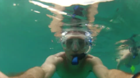 Rabbit ears portrait Stock Footage 24339076