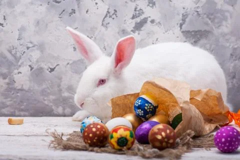 Rabbit easter celebration Foto stock