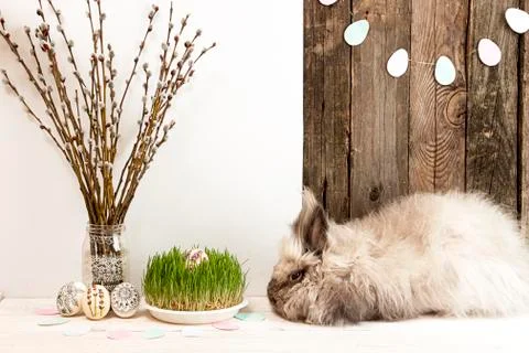 Rabbit, Easter eggs, willow branch, grass, Easter eggs garland Stock Photos