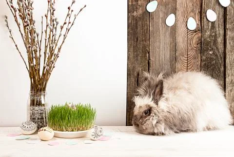 Rabbit, Easter eggs, willow branch, grass, Easter eggs garland Stock Photos
