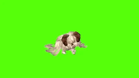 Rabbit Eating Green Screen Animation 4K Rendering Stock Footage 295557800