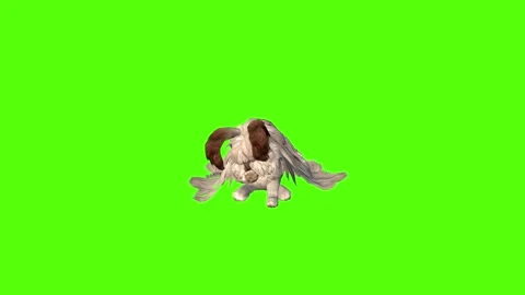 Rabbit Eating Green Screen Animation 4K Rendering Video stock 295557809