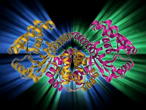 Rabbit eye lens protein molecule イラスト素材