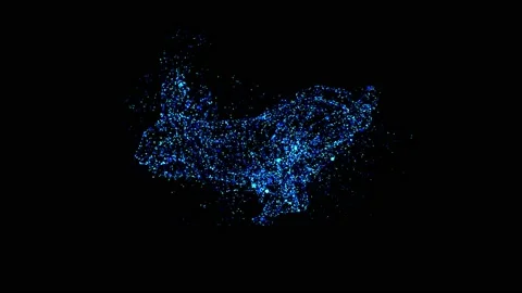 Rabbit Video stock 234378589