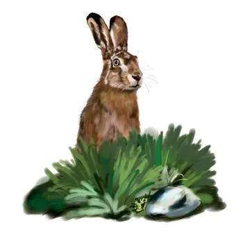 Rabbit in grass Stock-Illustration