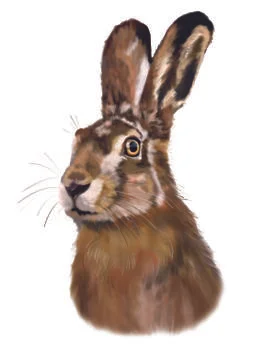 Rabbit in grass Stock-Illustration