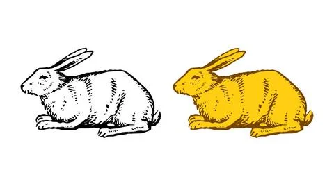 Rabbit hand drawn vector illustration isolated on white background. Rabbi... 写真素材