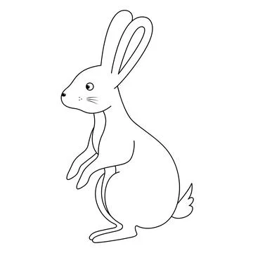 Rabbit. The hare stands on its hind legs. Sketch. Stock Illustration