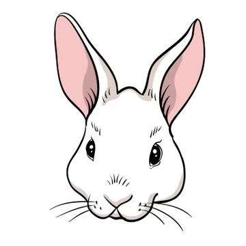 Rabbit head isolated Stock Illustration