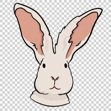 Rabbit head isolated on white background. Hand draw illustration in cartoon styl Stock Photos