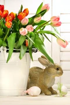 Rabbit hiding behind a container of tulips Stock Photos