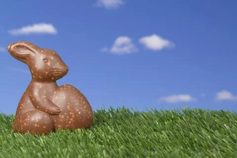 A rabbit holding easter egg while sitting on the grass Stock Photos