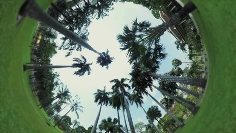 Rabbit Hole effect made of 360 Degree video Stock Footage 233726678