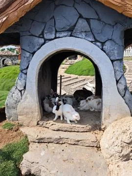 Rabbit house Stock Photos