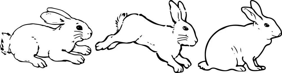 Rabbit icon on white background Stock Illustration