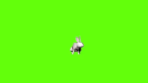 Rabbit idle look  green screen animation 3D rendering Stock Footage 297690587