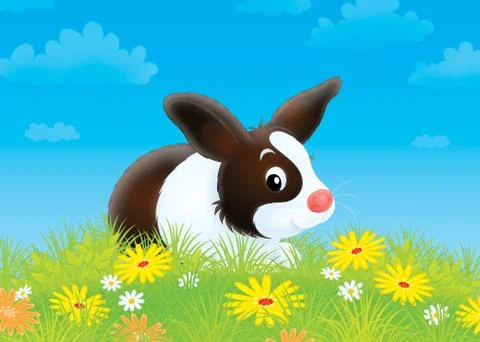 Rabbit Stock Illustration