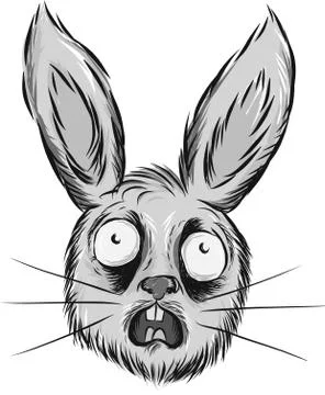 Rabbit Stock Illustration