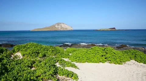 Rabbit island at Makapuu beach on windward Oahu Hawaii Stock Footage 62909875