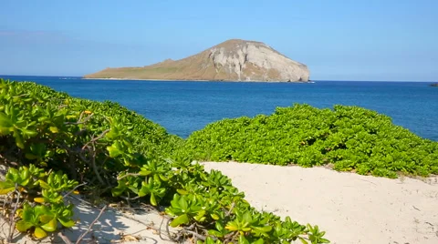 Rabbit island at Makapuu beach on windward Oahu Hawaii Stock Footage 62910206