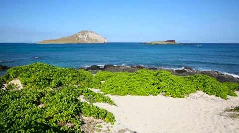 Rabbit island at Makapuu beach on windward Oahu Hawaii Stock Footage 62910601
