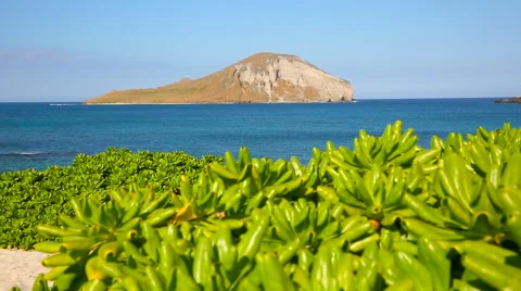 Rabbit island at Makapuu beach on windward Oahu Hawaii Stock Footage 62910702