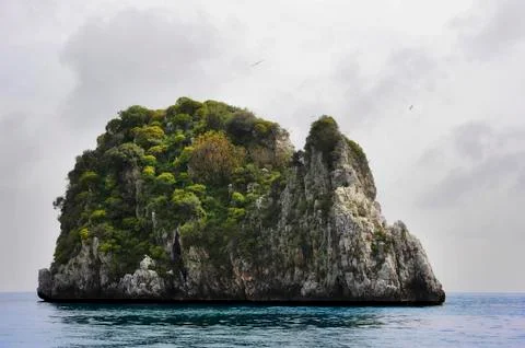 The rabbit island Stock Photos