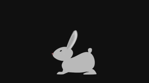 Rabbit jumping Stock Footage 61963220