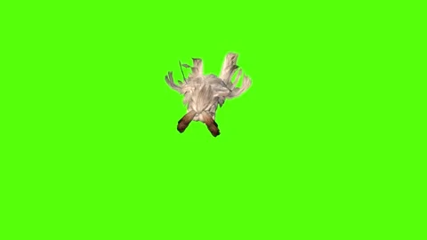 Rabbit Jumping Green Screen Animation 4K Rendering Stock Footage 295557849