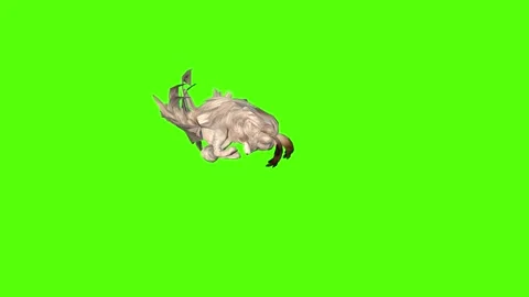 Rabbit Jumping Green Screen Animation 4K Rendering Video stock 295557850