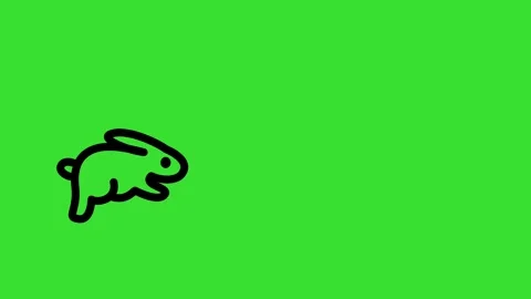 Rabbit jumping or running on green screen animation (Chroma key) Stock Footage 312019198