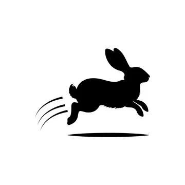 Rabbit jumping on white Stock Illustration